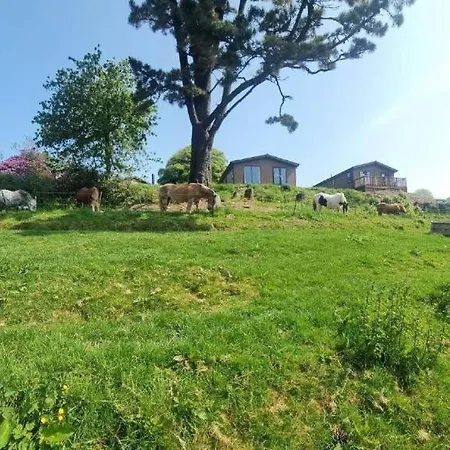 Two Bedroom Lodge In The Country - Owl, Peacock & Meadow Liskeard Room photo