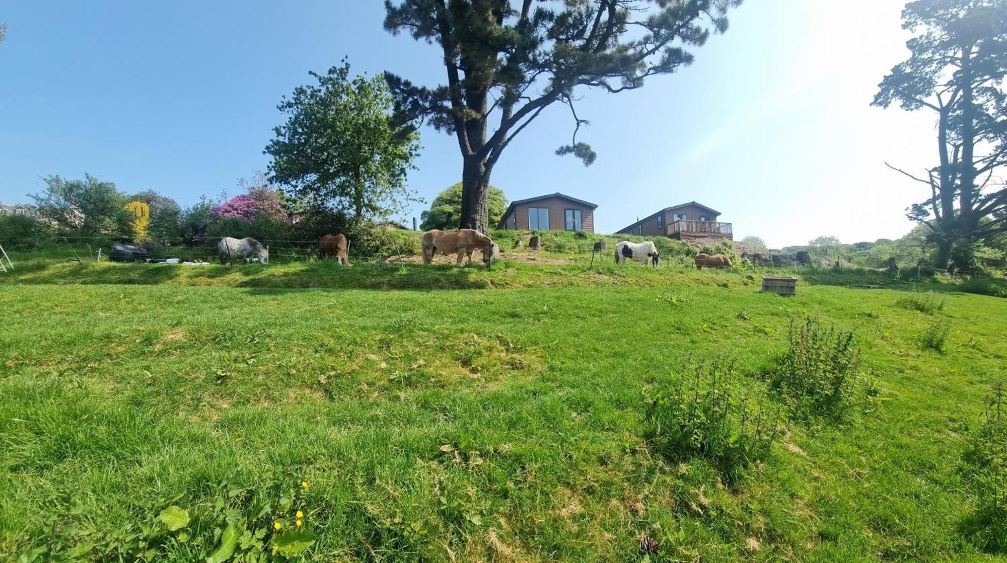 Two Bedroom In The Country - Owl, Peacock & Meadow *